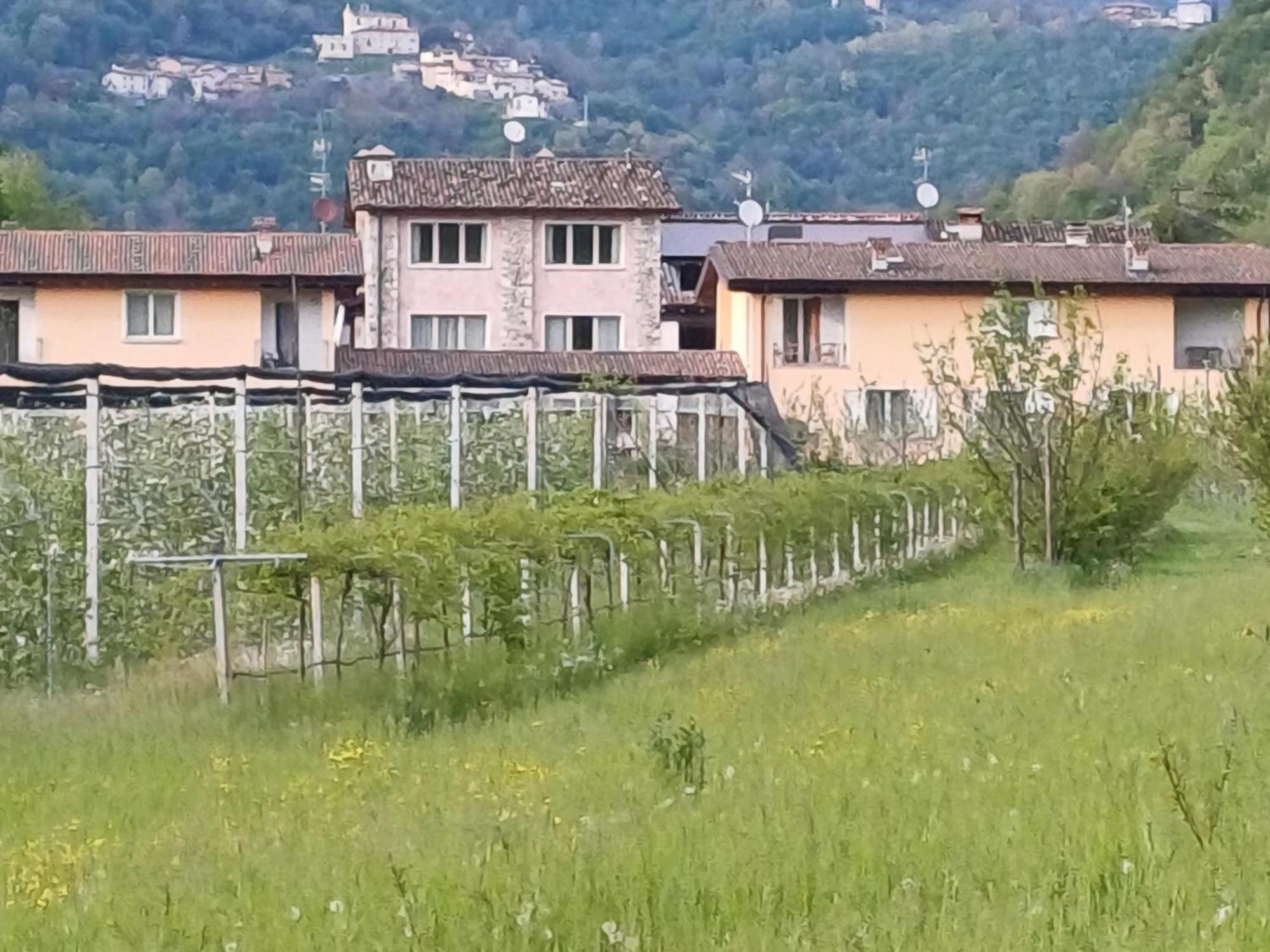 Cascina Legnago Bilocale A 6 Chilometri Da Salo' Lejlighed Villanuova sul clisi Eksteriør billede