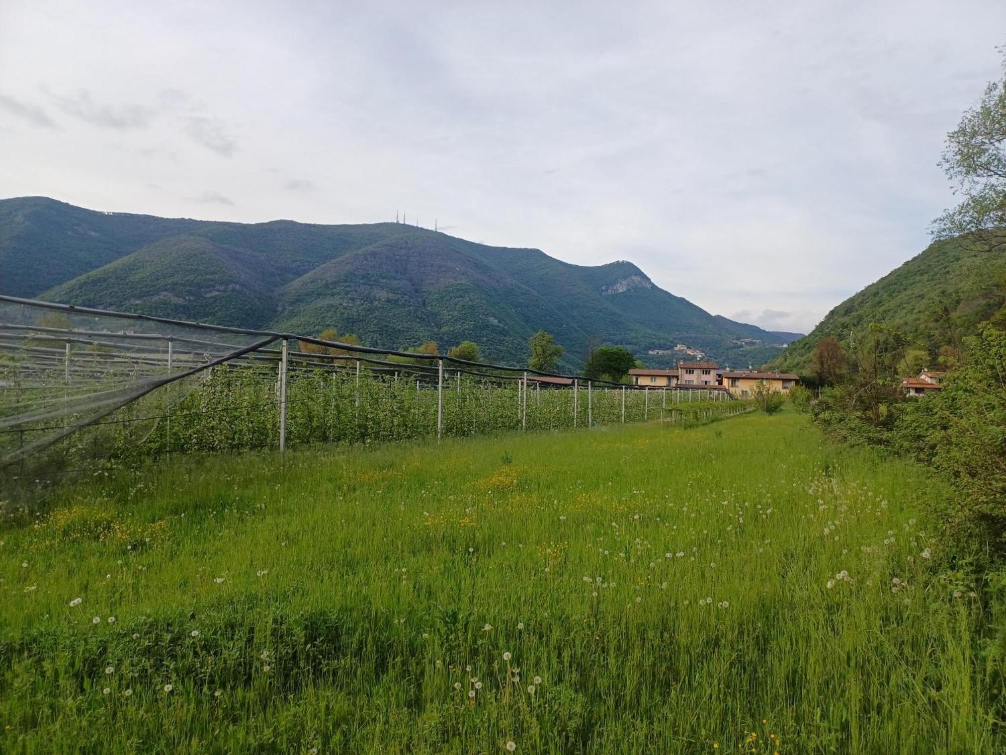 Cascina Legnago Bilocale A 6 Chilometri Da Salo' Lejlighed Villanuova sul clisi Eksteriør billede