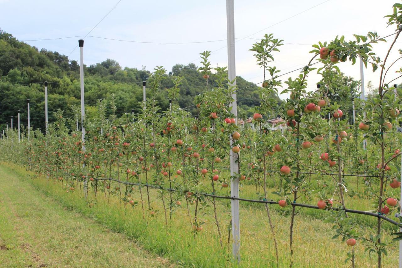 Cascina Legnago Bilocale A 6 Chilometri Da Salo' Lejlighed Villanuova sul clisi Eksteriør billede