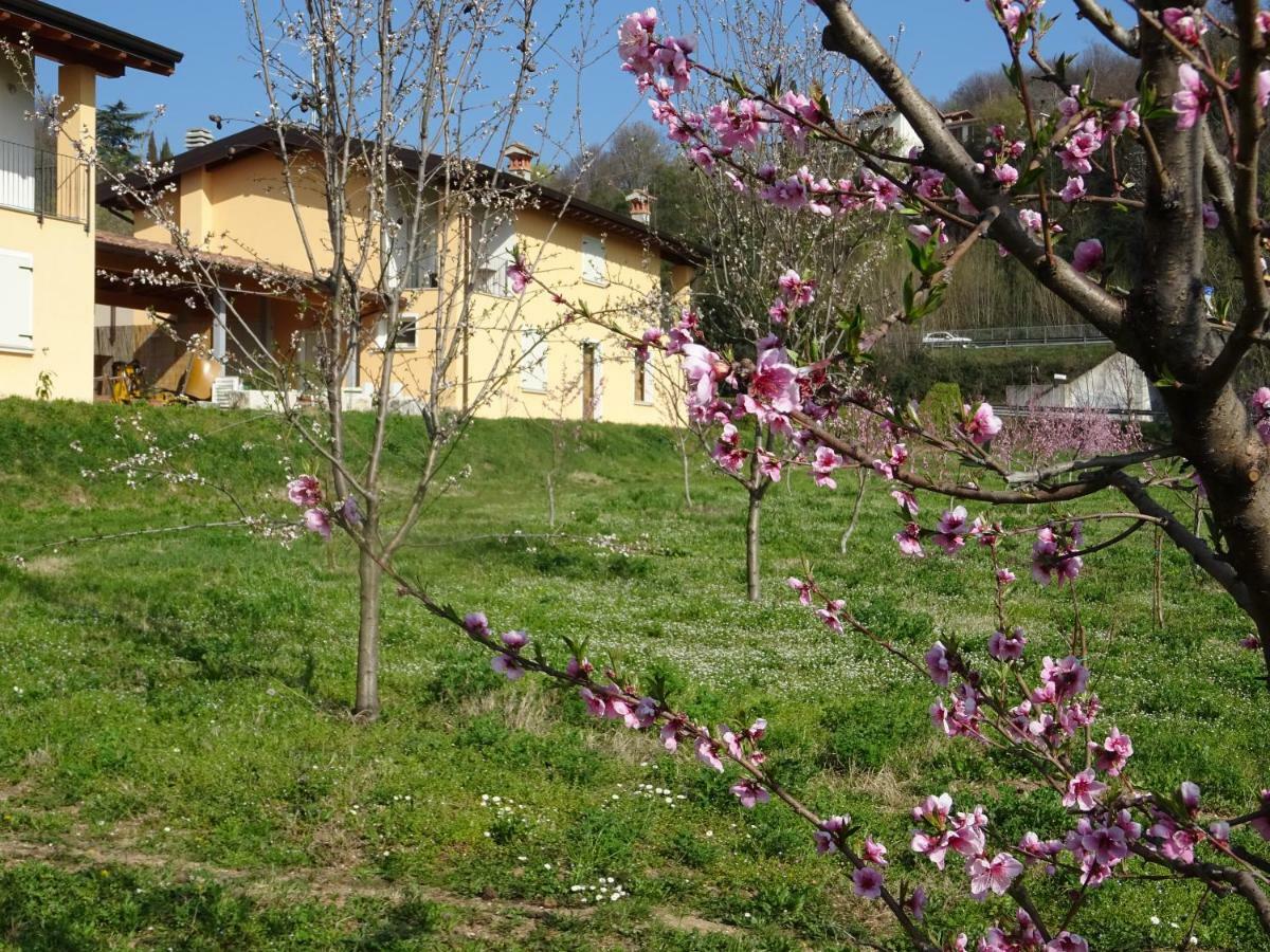 Cascina Legnago Bilocale A 6 Chilometri Da Salo' Lejlighed Villanuova sul clisi Eksteriør billede